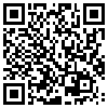 QR Code Handyversion