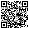 QR Code Handyversion