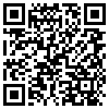 QR Code Handyversion