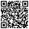 QR Code Handyversion