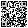 QR Code Handyversion