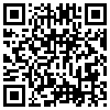 QR Code Handyversion