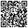 QR Code Handyversion