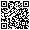 QR Code Handyversion