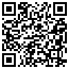 QR Code Handyversion