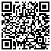 QR Code Handyversion