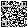 QR Code Handyversion