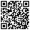 QR Code Handyversion