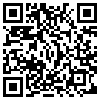 QR Code Handyversion