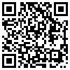 QR Code Handyversion