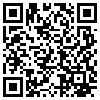 QR Code Handyversion