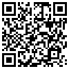 QR Code Handyversion