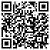 QR Code Handyversion