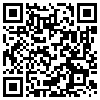 QR Code Handyversion