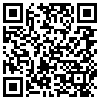 QR Code Handyversion