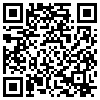 QR Code Handyversion