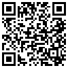 QR Code Handyversion