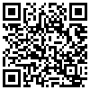 QR Code Handyversion