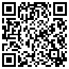 QR Code Handyversion