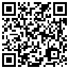 QR Code Handyversion