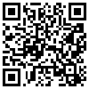 QR Code Handyversion