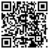 QR Code Handyversion