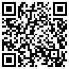 QR Code Handyversion