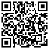 QR Code Handyversion