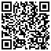 QR Code Handyversion