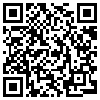 QR Code Handyversion