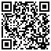 QR Code Handyversion