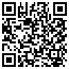 QR Code Handyversion