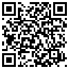 QR Code Handyversion