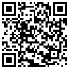 QR Code Handyversion