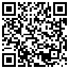 QR Code Handyversion