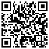 QR Code Handyversion