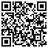 QR Code Handyversion