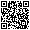 QR Code Handyversion