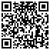 QR Code Handyversion