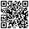 QR Code Handyversion