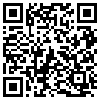 QR Code Handyversion