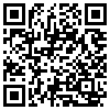 QR Code Handyversion