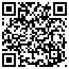 QR Code Handyversion