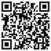 QR Code Handyversion