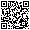 QR Code Handyversion