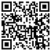 QR Code Handyversion