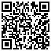 QR Code Handyversion