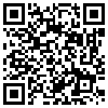 QR Code Handyversion