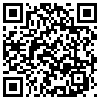 QR Code Handyversion