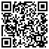 QR Code Handyversion